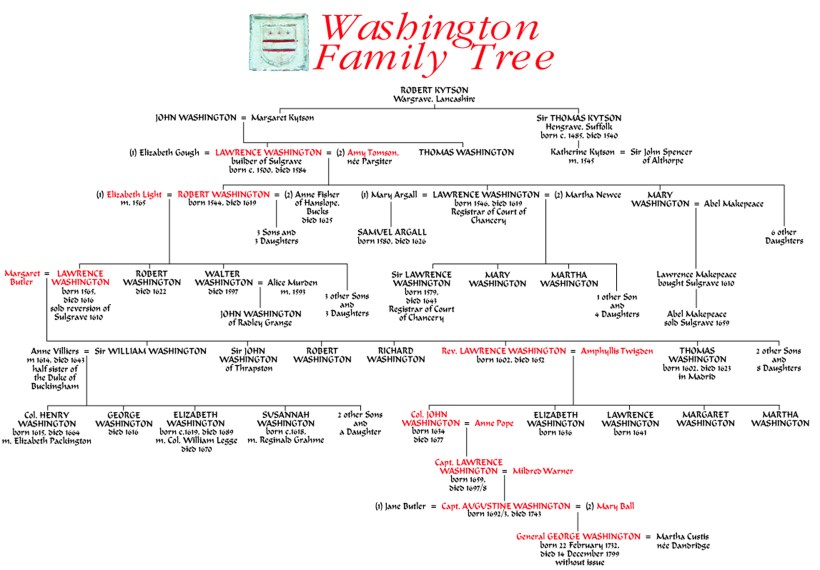 WashingtonTree4Final